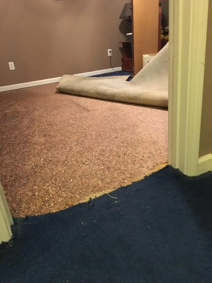 Carpet pad removal revealing water damage during Drying & Dehumidification in Gilberts