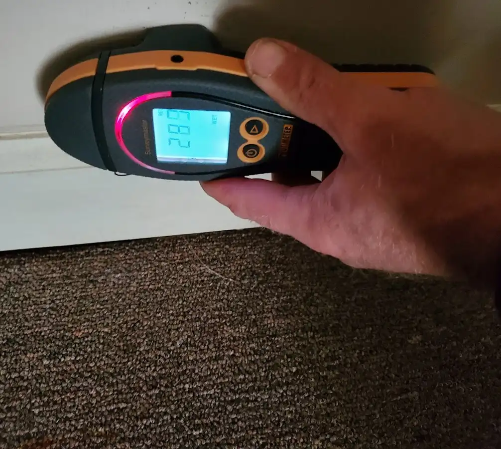 Moisture detection at baseboard during Burst Pipe Cleanup in Gilberts